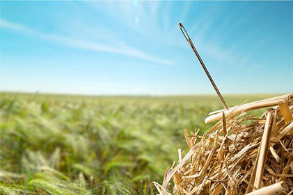 How to Find Great Vertical Market Software Investment Opportunities