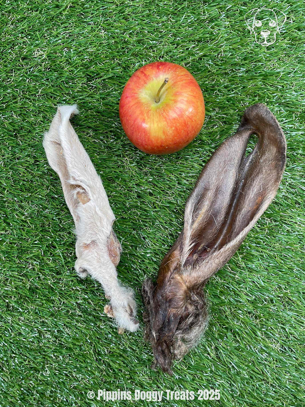 Thumbnail: Rabbits Ears - Hairy