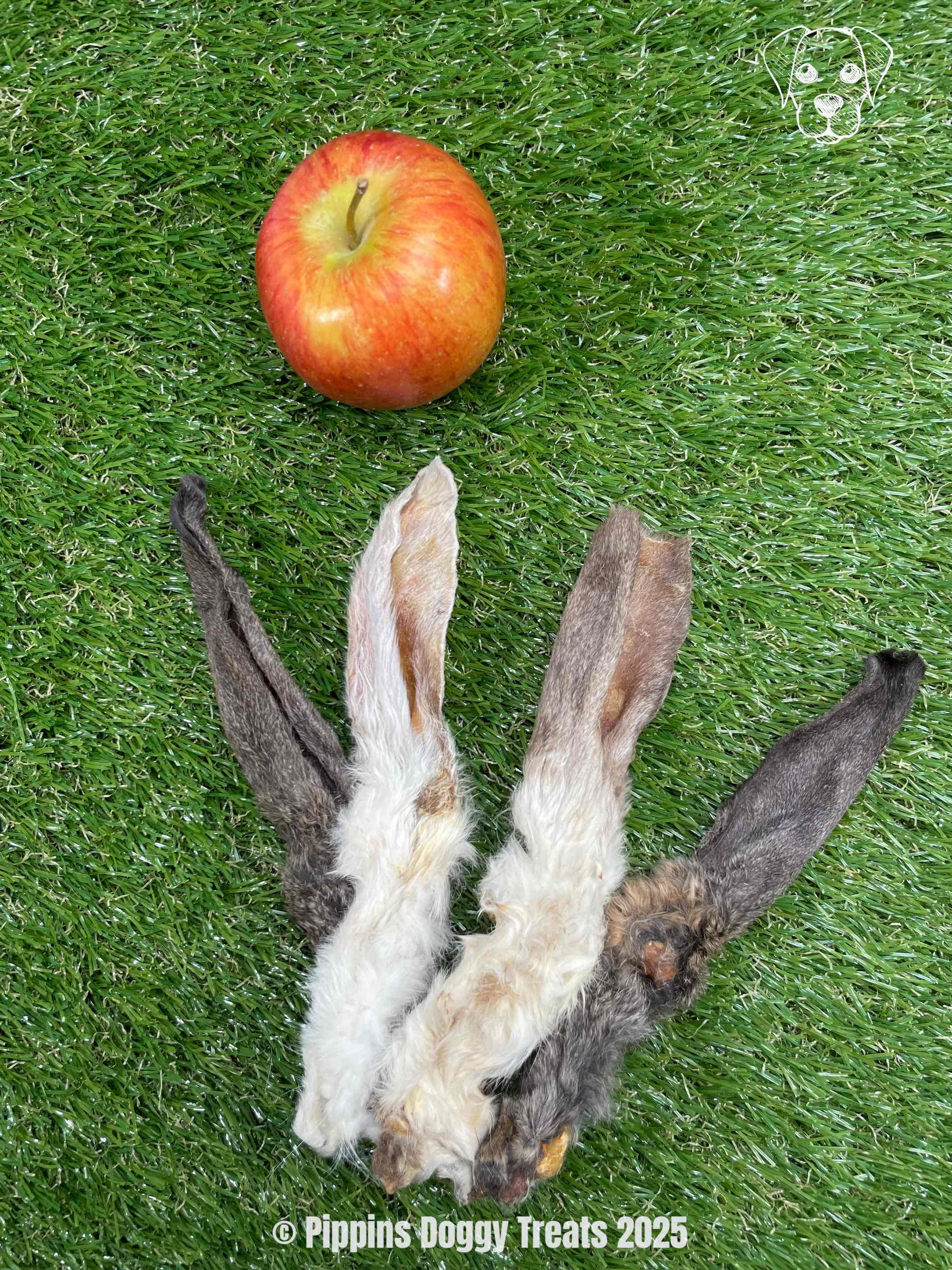 Rabbits Ears - Hairy