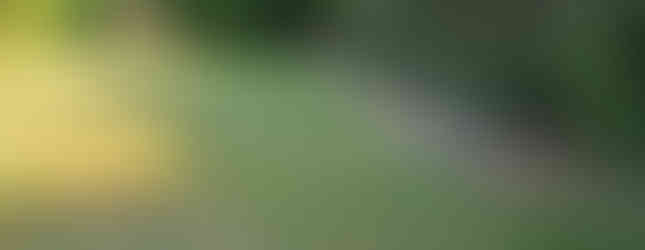 Aménagement terrain de pétanque Tours