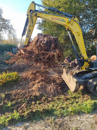 dessouchage - Enlèvement de souches d'arbres à Tours (desouchage)