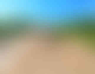 Terre végétale à Tours