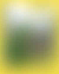 dessouchage