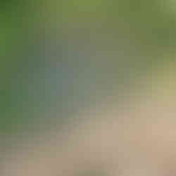 entreprise d'aménagement paysager à Montlouis