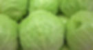 Cabbage