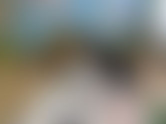 "Птичий дом"