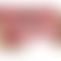 Всемирный день кошек