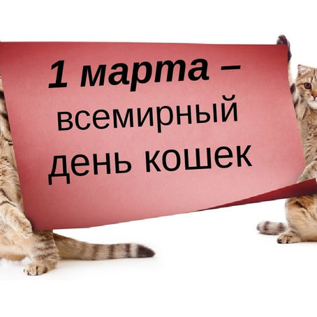 Всемирный день кошек