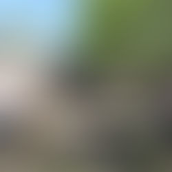 "Будь готов! Всегда готов!!!"