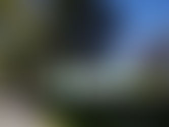 コルサコフ（大泊）