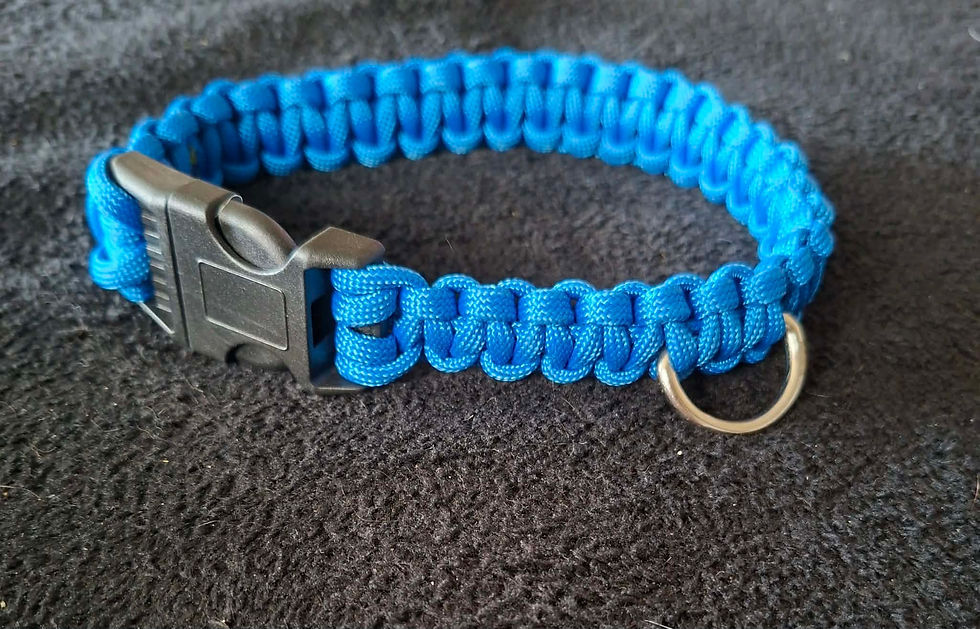 blauwe smalle halsband
