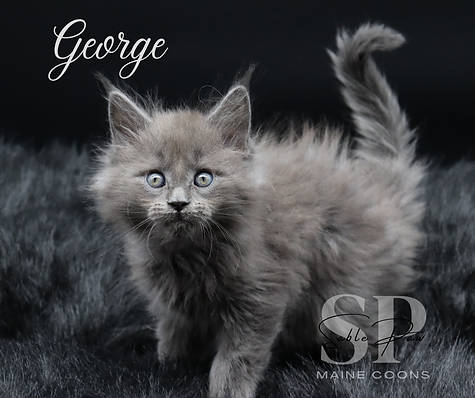 George.png