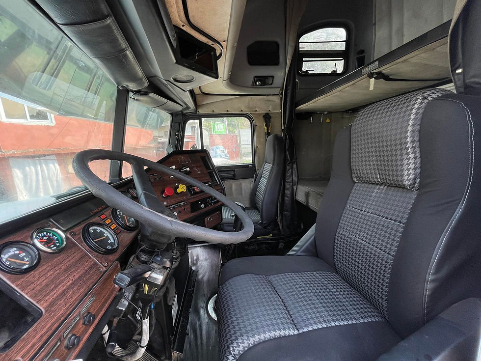 Miniatura: Freightliner Condor