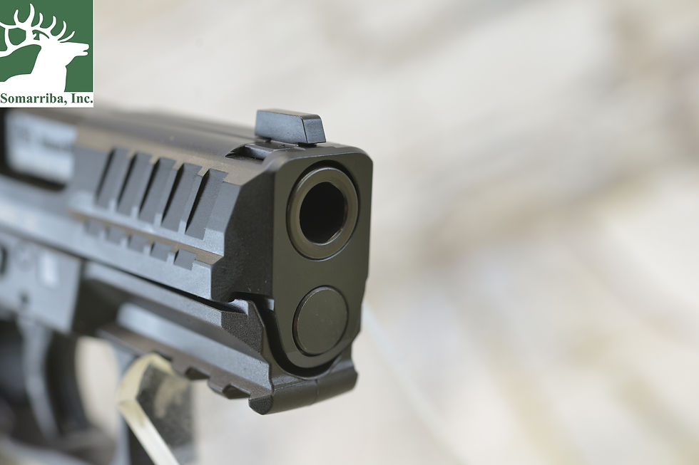 Thumbnail: HECKLER& KOCH 81000819 VP9SK, SUBCOMPACT, 9MM, 3.39" BBL,  ONE 15rd AND ONE 12rd