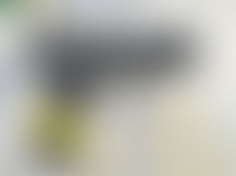 Pistol Review: Ruger's MAX-9 - Impressive Bang For Buck