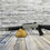 Thumbnail: BENELLI SHOTGUN M4 H20 12 GA 18.5" bbl