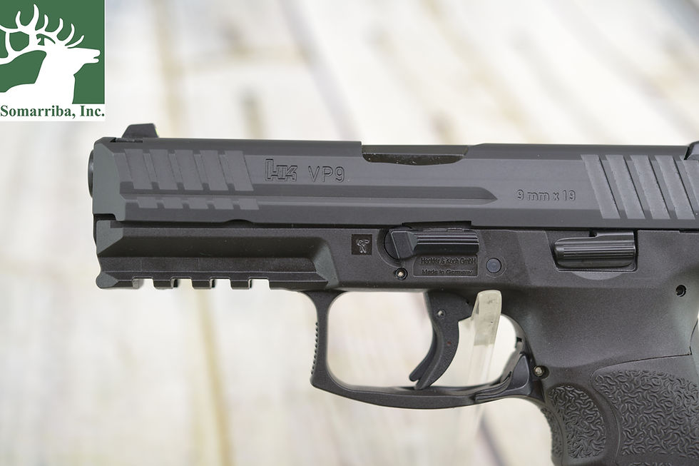 Thumbnail: HECKLER AND KOCH PISTOL 81000283 VP9 9MM 4.09" BBL 2-17 RD MAGS