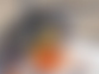 Field Test Day with Zeiss, Christensen, and Hornady