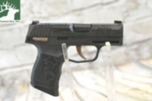 Sig Sauer Pistol 365380ROSEMS P365 Rose 380 Cal 10+1 3.10" Black Barrel, Black