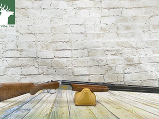 Shotgun Review: Fausti's Aphrodite - An Exciting New Addition!