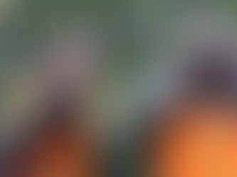 ANNOUNCEMENT: Celebrate Swarovski 75 Year Anniversary With Fantastic Savings!