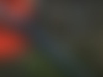 Optics Review: The Trijicon MRO w/ Green Dot