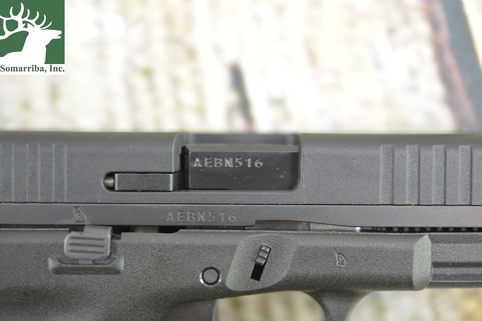 Thumbnail: GLOCK PISTOL UA4450101 G44 22LR 4" BBL (2) 10RD MAGS  WHITE DOT FRONT SIGHT, ADJ