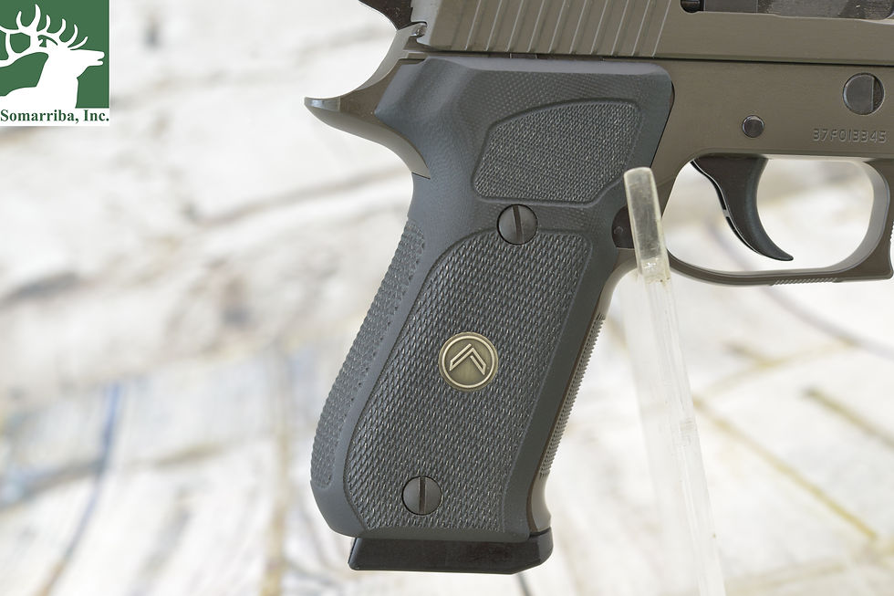 Thumbnail: SIG SAUER PISTOL 220R5-10-LEGION-R2P220 10MM 5" BBL (3) 8RDS MAGS NIGHT SIGHTS,