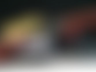 Shotgun Review: The Benelli Montefeltro Combo Shotgun