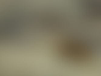 We Are Your South Florida SAKO SELECT Dealers!