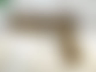 IN-STOCK: SIG Sauer's M17 - The Official Sidearm Of The U.S. Army