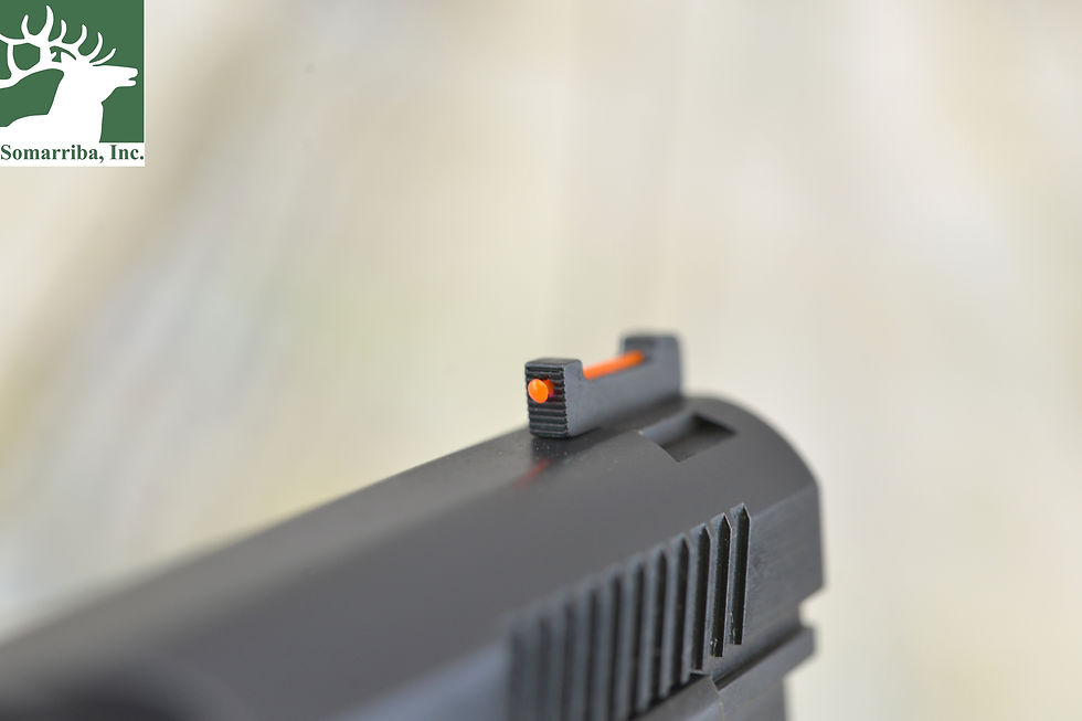 Thumbnail: CZ-USA PISTOL 91739 MODEL 75 BULL COMPACT 9mm, 3.7" BULL BBL, (2) 16RND CAPACITY