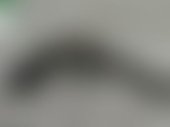 The Nighthawk/Korth Revolver Series: The Mongoose