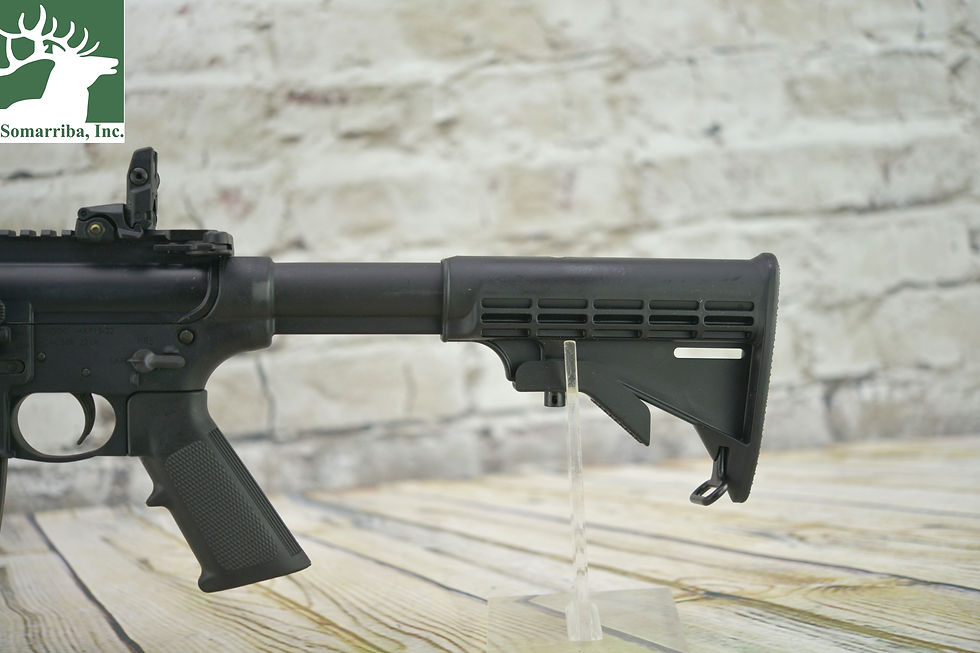 Thumbnail: Smith & Wesson 10208 M&P15-22 Sport 22 LR