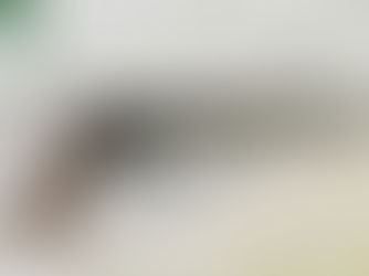 Revolver Review: Korth's Callahan - A Revolver That Would Make Dirty Harry Proud!