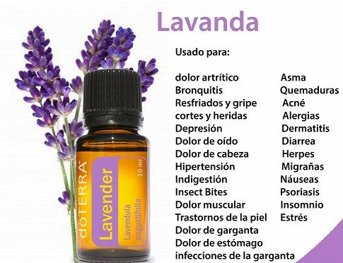 Miniatura: Aceite esencial Lavanda 15ml  Doterra