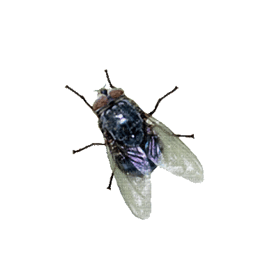 Fly GRETI, fly!