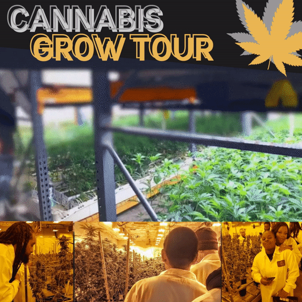 cannabis grow tour.gif