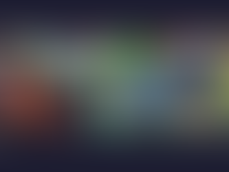 Kaczka i iluzja prawdziwego życia, detale