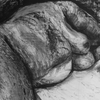 Body Structure I act series 100x70 2015 ©Fedko-Wójs.jpg