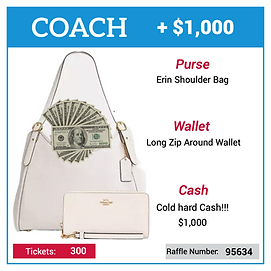 Coach Purse & Wallet + $1,000 Cash
