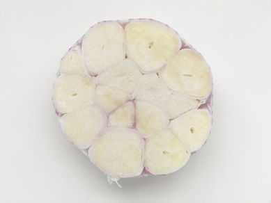 Head of garlic photo