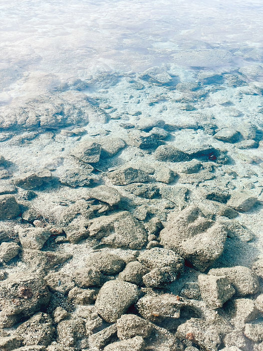 IMG_4101.JPG