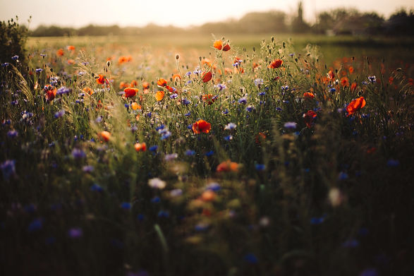 AdobeStock_327492539.jpeg