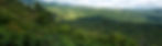 header-contact.jpg