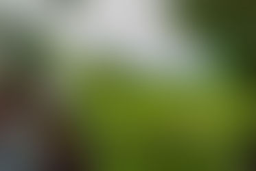 Costa Rica’s Most Scenic Zipline Rides: Views You Can’t Miss