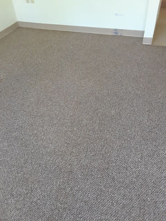 Denton TX Carpet Cleaning Professionals.jpg