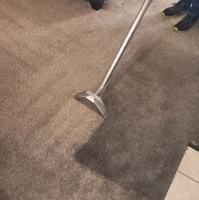 Steam Cleaning Wynnewood.jpg