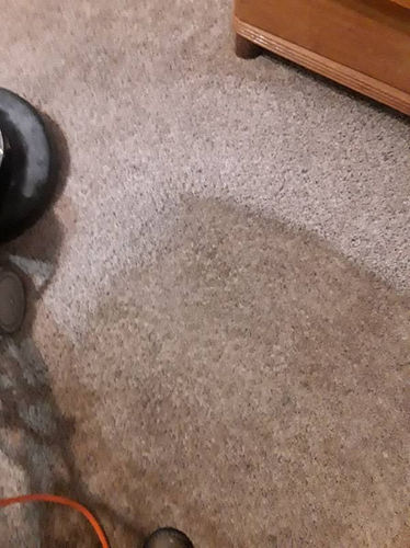 Residential Carpet Cleaning Kingston in Oklahoma.jpg