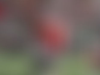 Ohio State Welcomes In UCLA For First Time Since 1999.